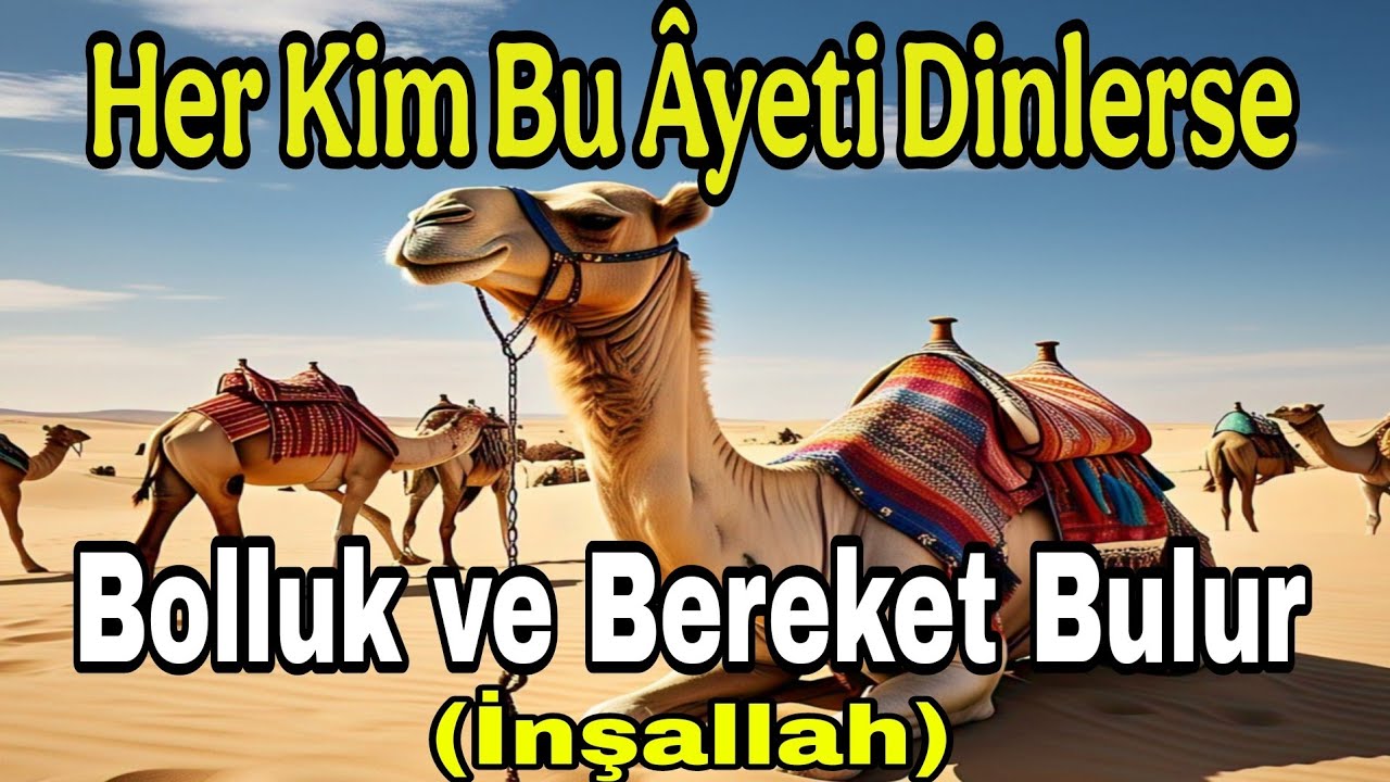 ⭐Her Kim Bu Âyeti Dinlerse, Bolluk ve Bereket Bulur