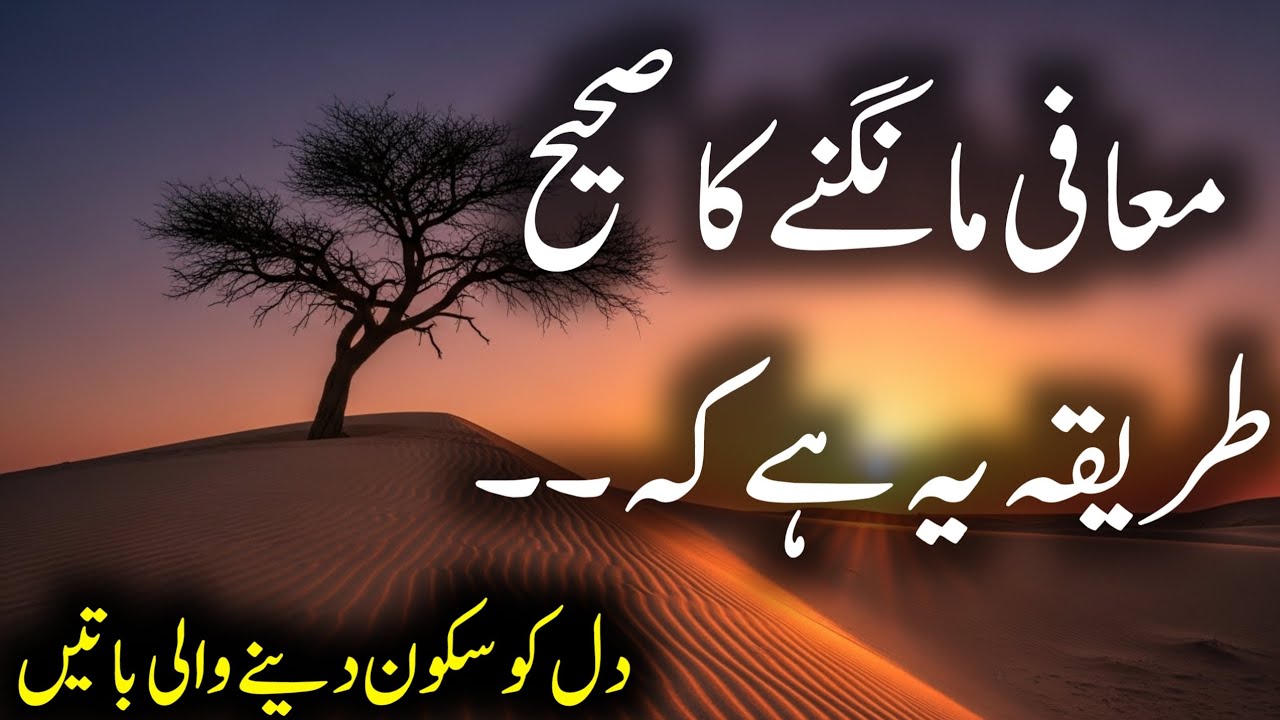 Maafi mangne ka tarika | Urdu quotes | Islamic quotes | Beautiful quotes | Islamic Urdu quotes 