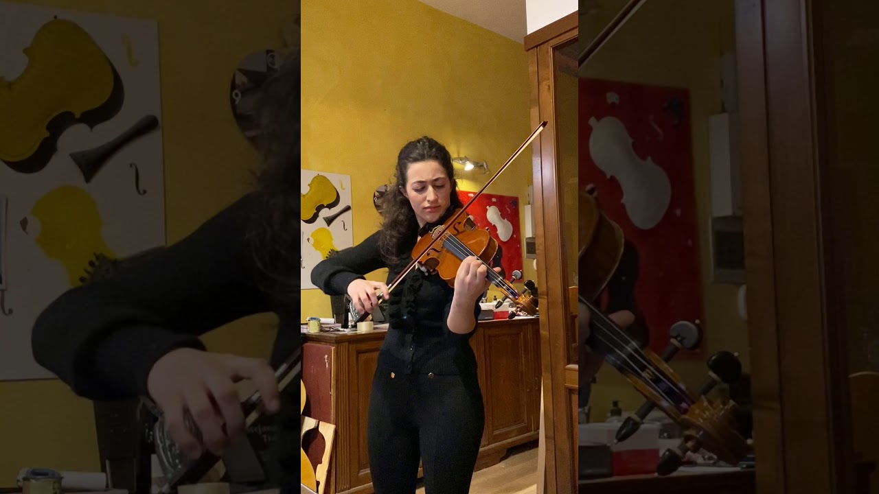 Stefano Trabucchi master violin based 