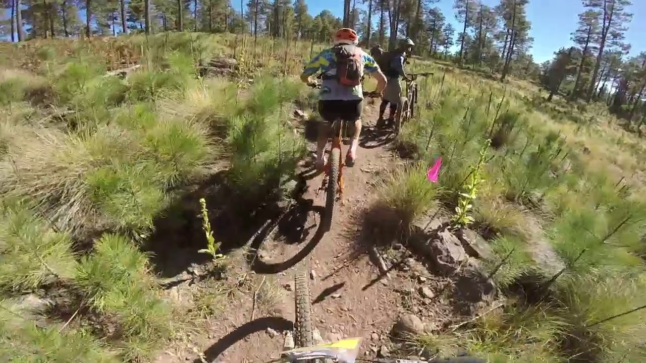Tour of the White Mountains