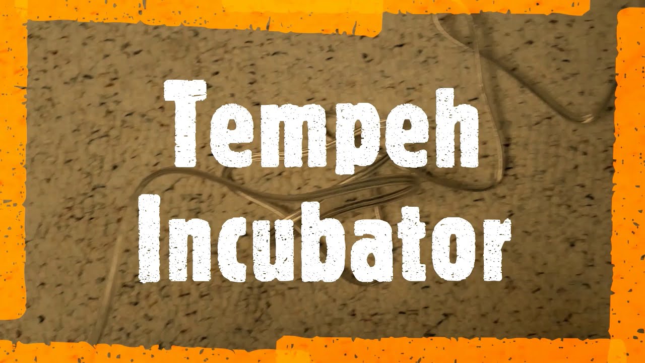 Cheap-n-easy tempeh incubator