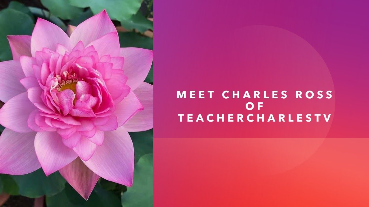 Meet Charles Ross of TeacherCharlesTV
