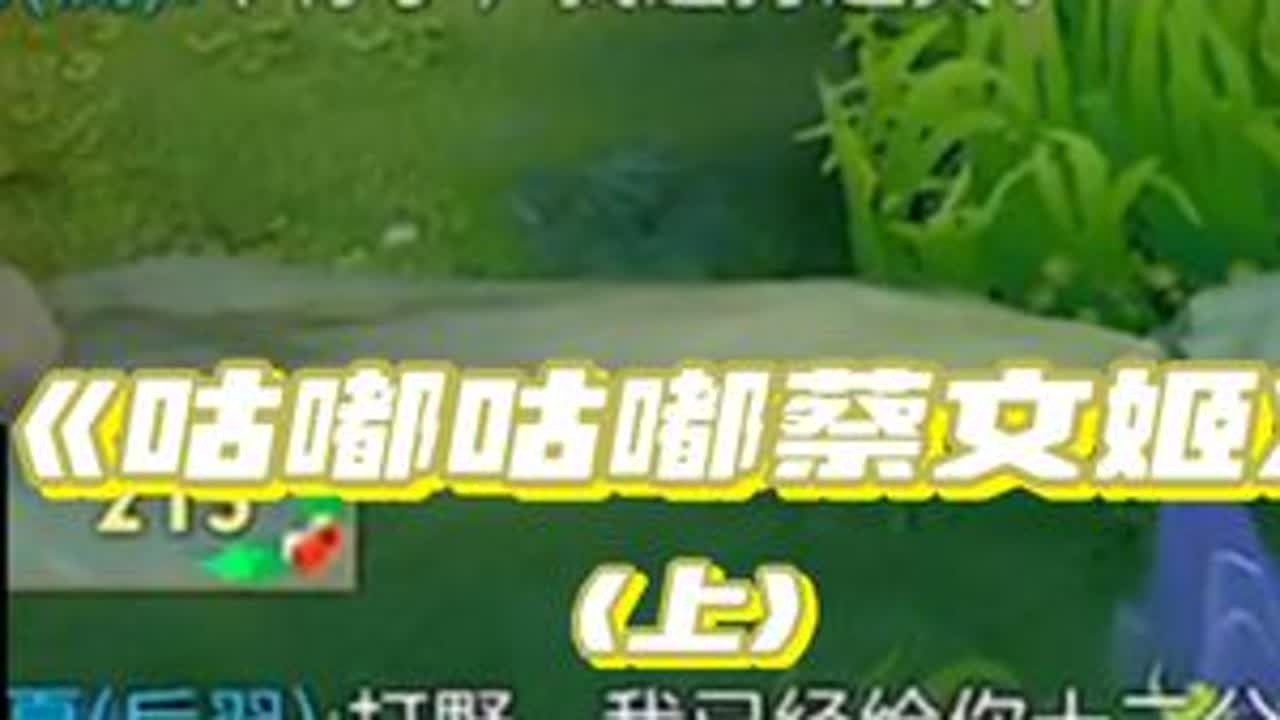 【阿水】有这样的蔡文姬你几点回家（上）（6.3凌晨）#王者荣耀#王者荣耀阿水 #王者荣耀阿水国服瑶 #蔡文姬 @阿水（国服瑶大乔）