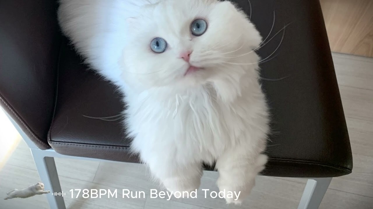 178bpm Run Beyond Today (remix)