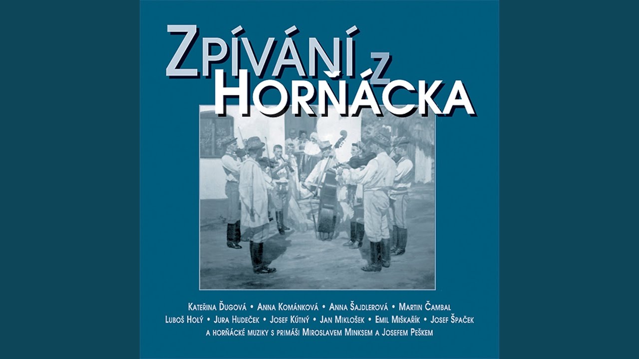 Zaplakala Drinová