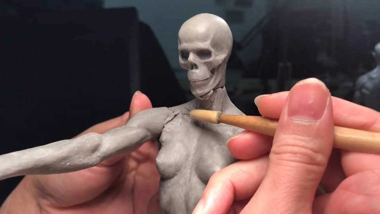 How to sculpt Écorché Female Anatomy : Refining torso + limbs - Part 8