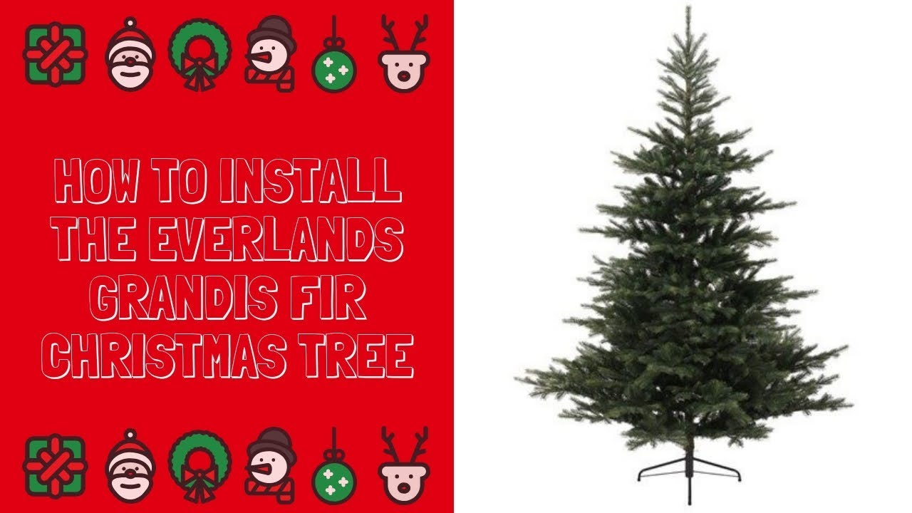 How To Install The Everlands Grandis Fir Christmas Tree