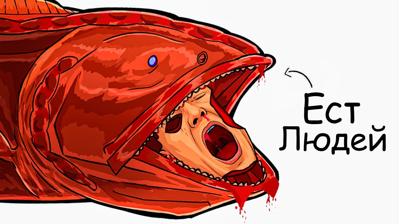 Ты – Китовая Рыба (И ЭТО ВСЯ ТВОЯ ЖИЗНЬ)