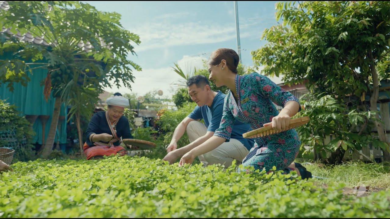 Time for Chiang Mai: A Taste of Tradition