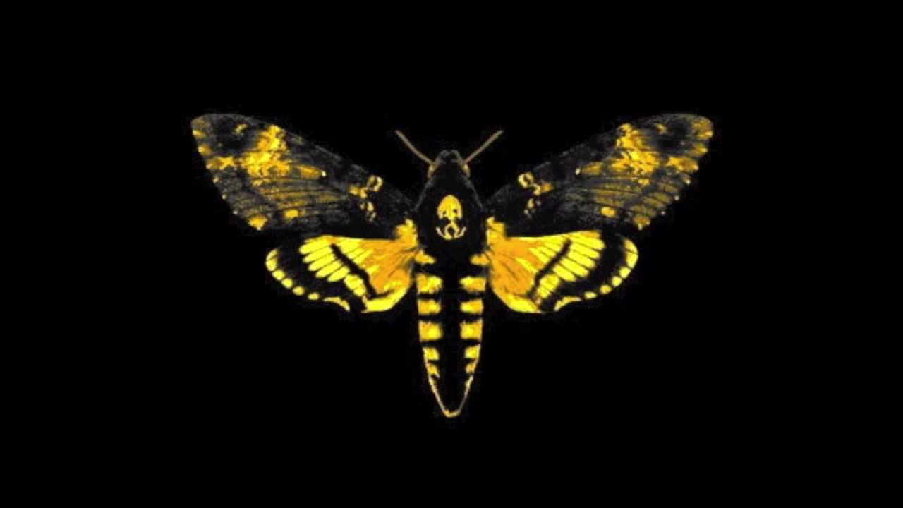 Lil Wayne - GOD BLESS AMERIKA INSTRUMENTAL (NO HOOK)