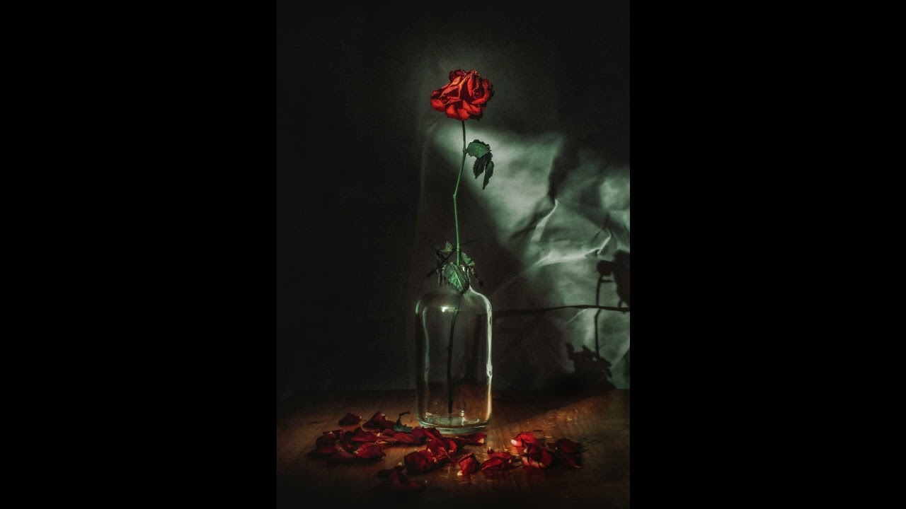 [Free for profit] talha anjum x Talhah Yunus x bol Jani type beat - "Rose"| Prod. by 