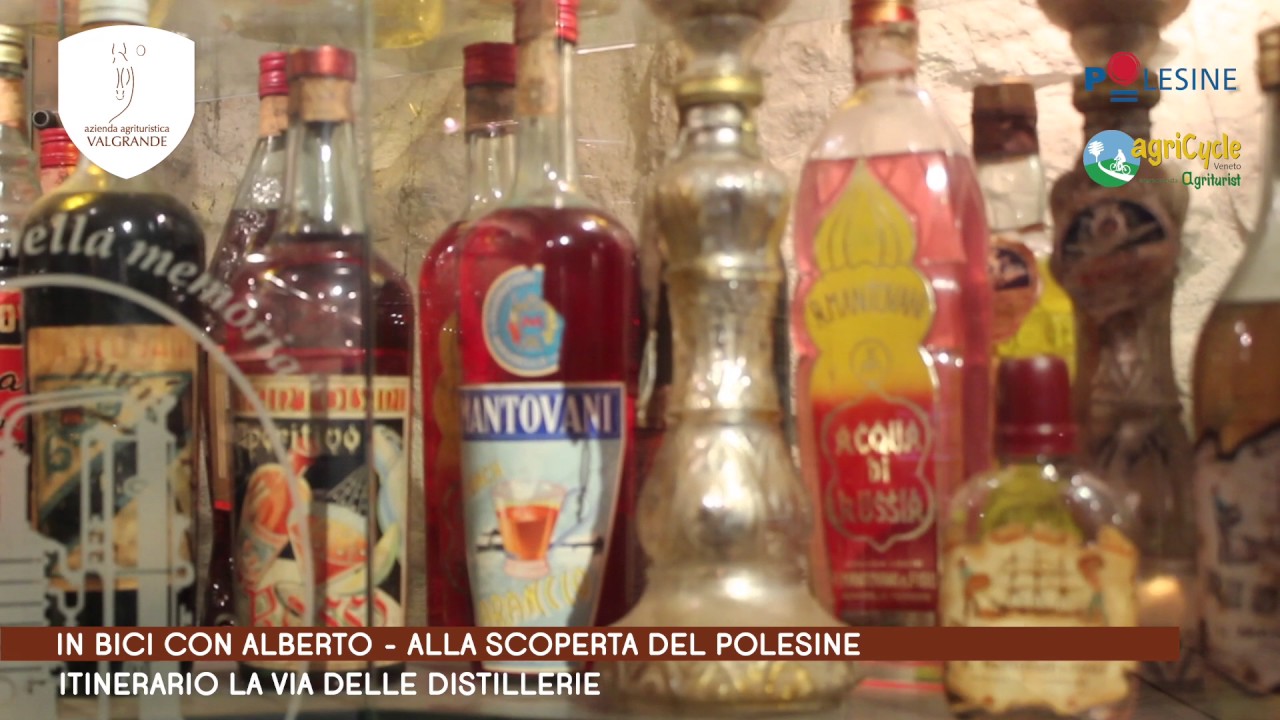 In bici con Alberto | La via delle distillerie!