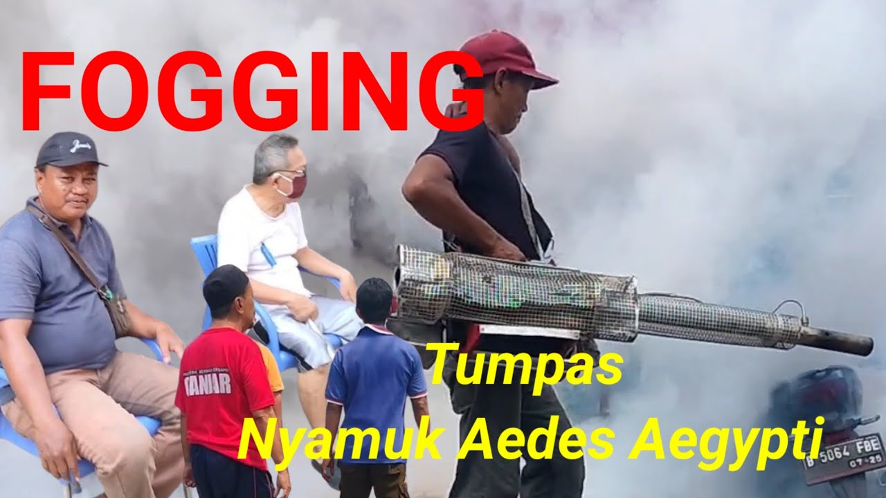 Penyemprotan fogging  di RT ku # Papan Mas RT 006/006 Setia mekar Tambun Bekasi#