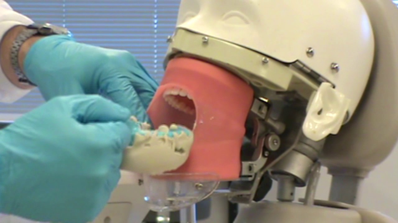 1 How to make and mount Diagnostic Casts - Making Alginate  Impressions