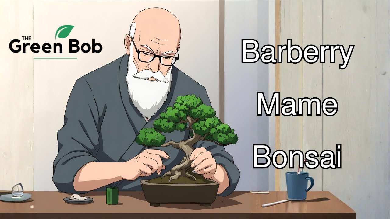 Turning a Barberry into a Mame Bonsai | From Shrub to Living Miniature