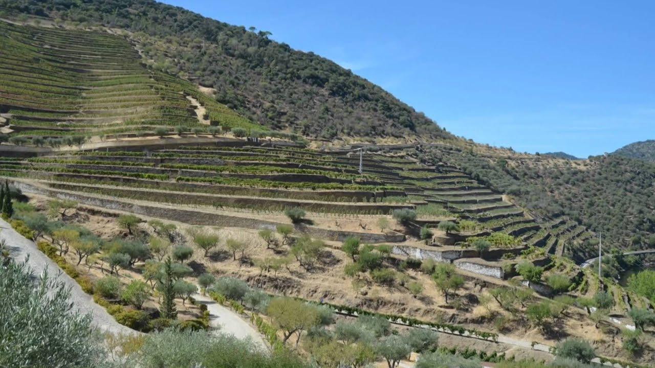 Taylor&acute;s Quinta de Vargellas - Famous Port Wine Quintas #3