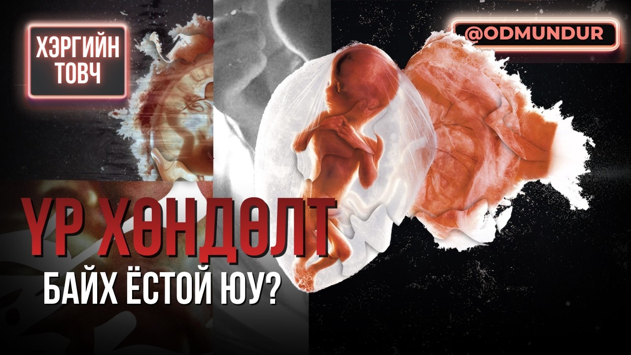 Үр хөндөлт байх ёстой юу? - ХЭРГИЙН ТОВЧ