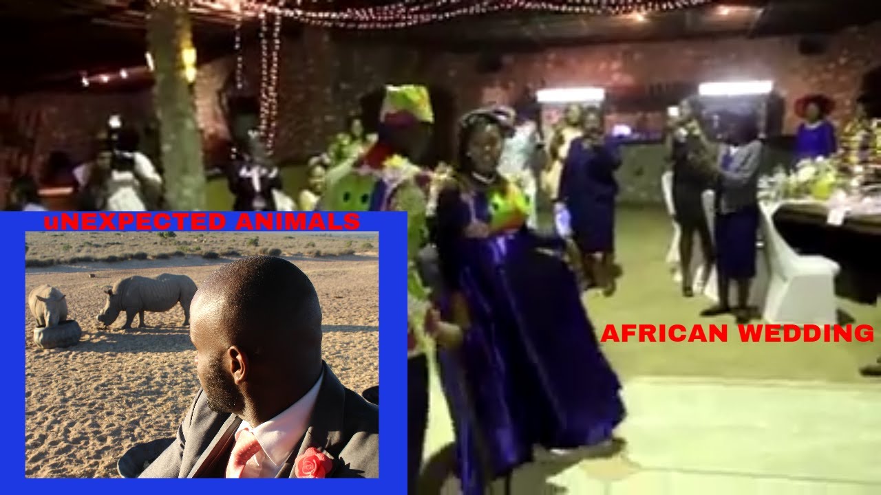 African Wedding and a SAFARI. Once in a life experience. FIRST VLOG 2018