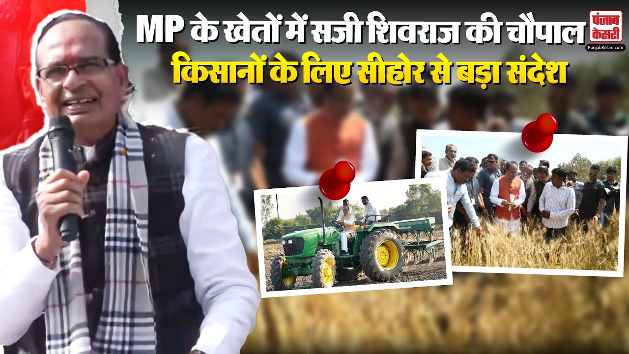 Mp News: Sehore में किसानों के बीच Shivraj Singh Chauhan,खेतों में लगी चौपाल, सुनी किसानों की बात