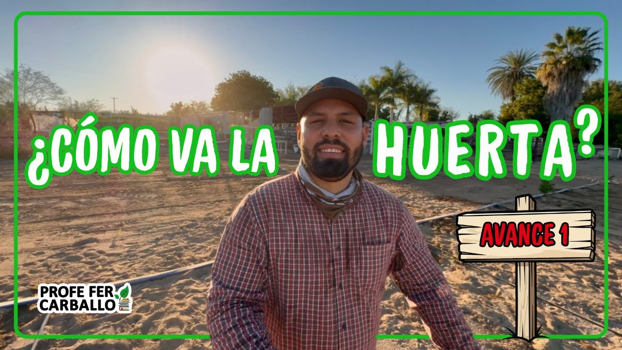 ¿Cómo va la HUERTA? Avance 1