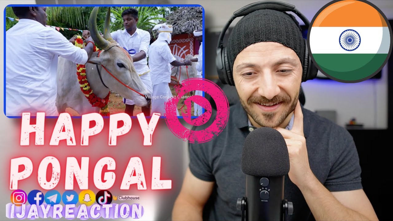 🇨🇦 РЕАКЦИЯ КАНАДА НА ПРАЗДНОВАНИЕ ПОНГАЛ | Mattu Pongal | РЕАКЦИЯ НА СПЕЦИАЛЬНЫЙ ФЕСТИВАЛЬ ГРАФСТ...