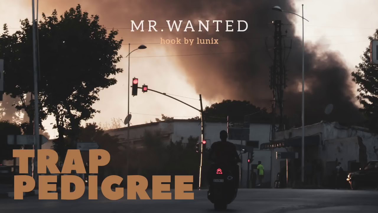 Lunix - Trap pedigree  ft. Mr wanted