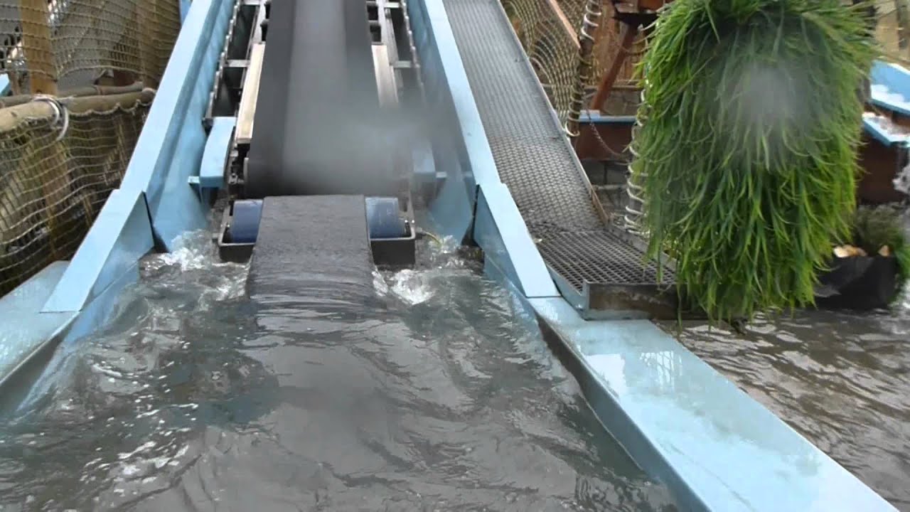 Jungle River - Drievliet