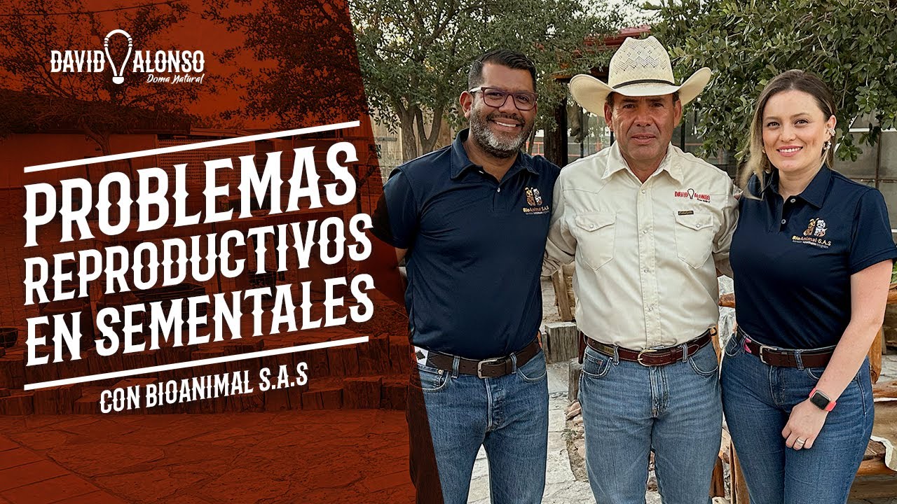 Problemas reproductivos en sementales con BioAnimal SAS