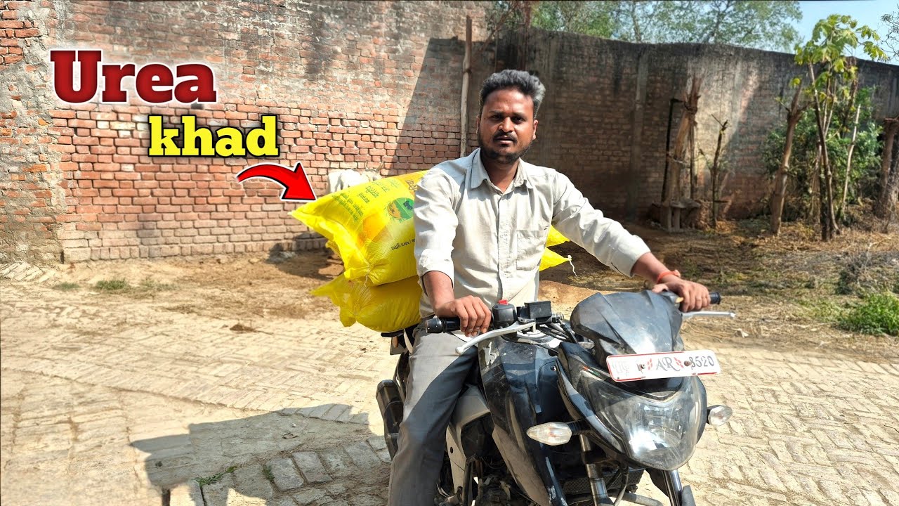 Urea khad le aaye | wheat farming 
