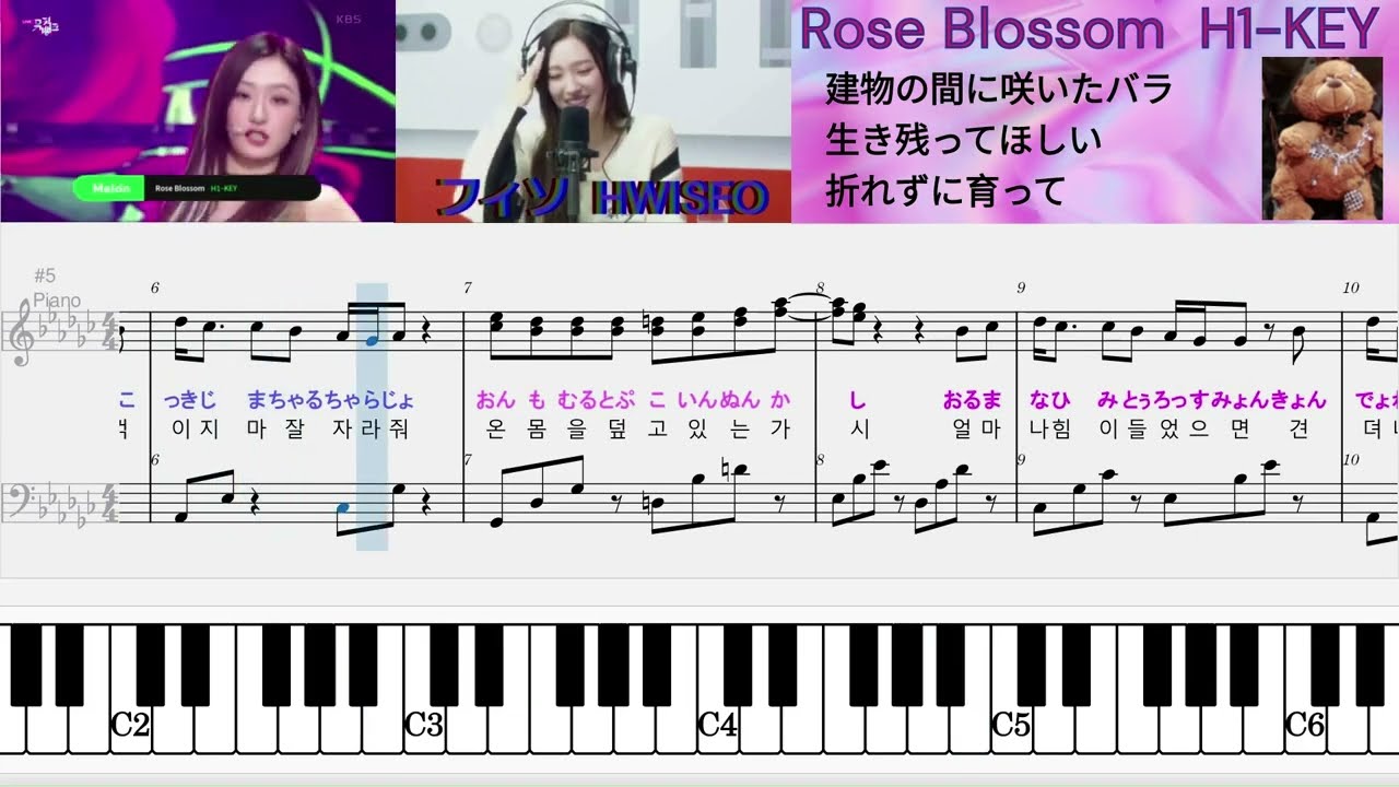 H1-KEY Rose Blossom Piano Cover ( 하이키 - 건물 사이에 피어난 장미 ) カナルビ