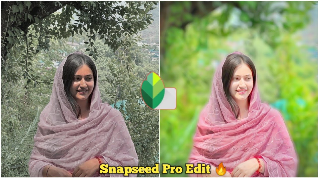Snapseed Photo Editing Tutorial Bangla🔥 | Pro Mobile Photo Editing#snapseed | 