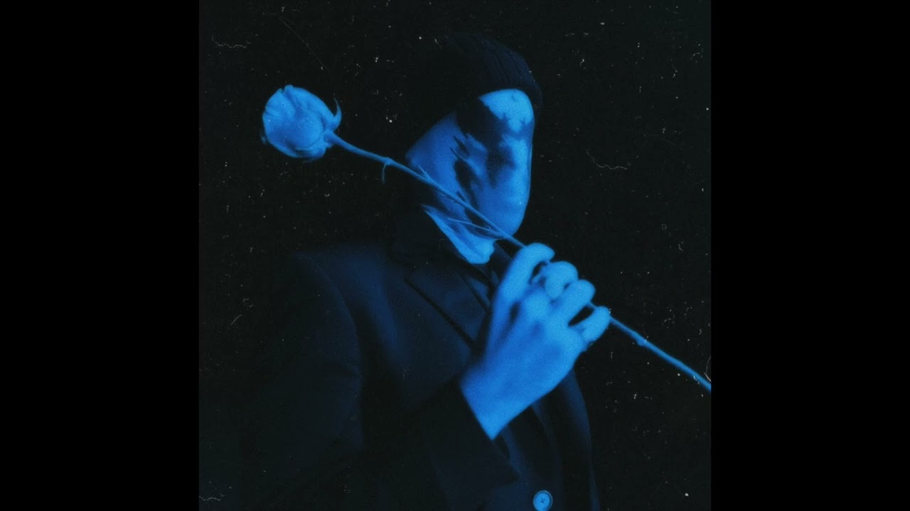 Ethan Ross - COMPANY LOVES MISERY