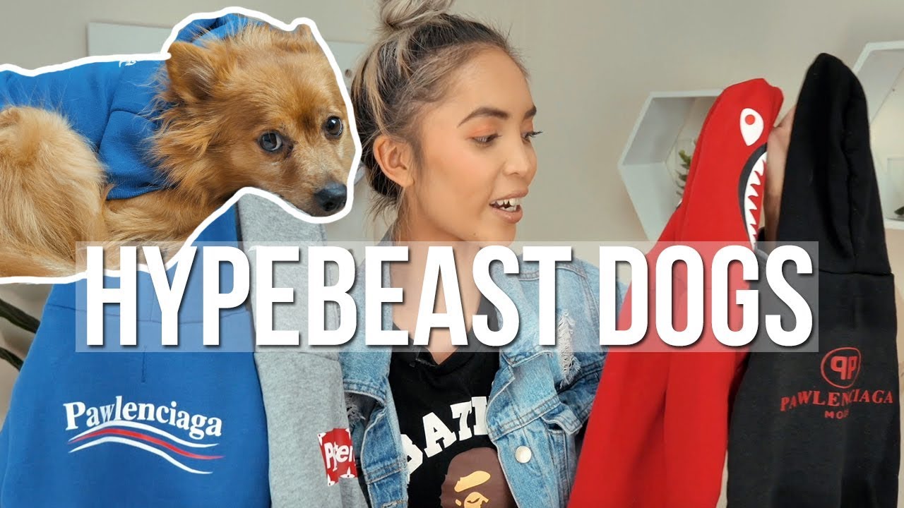 HYPEBEAST DOG CLOTHES!!
