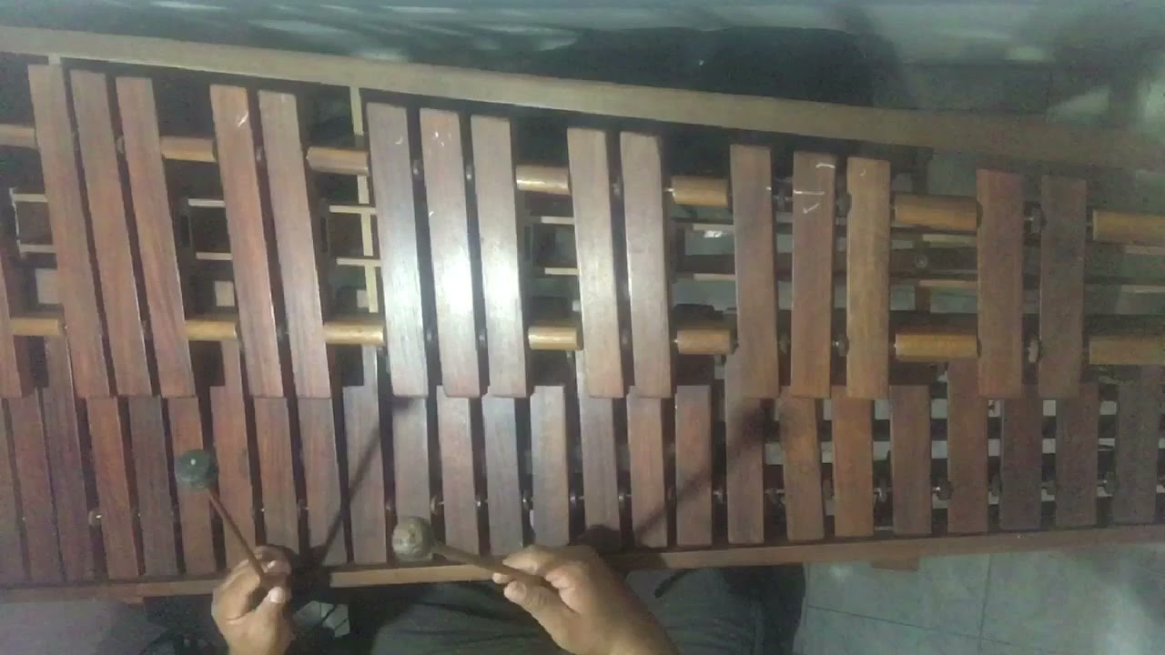 Marimba | Blancas Mariposa