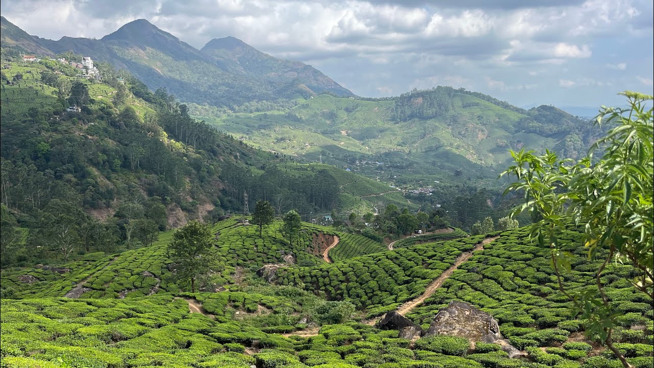202502 Misty Mountain Resort, Munnar | Sightseeing in Munnar, Kerala