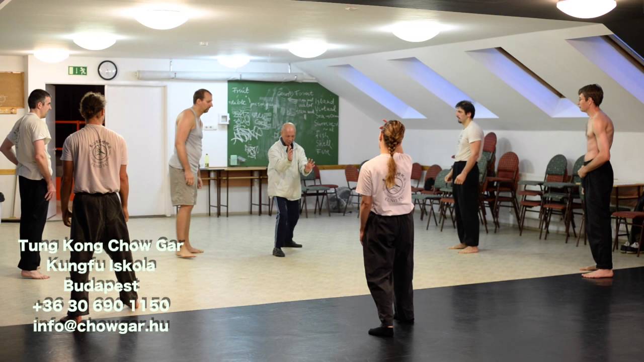Chow Gar Kung Fu - Shock Power in Class