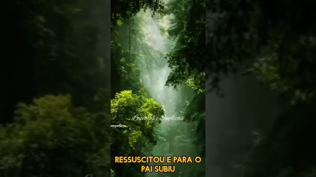 400. Divina Fonte é Jesus !!!