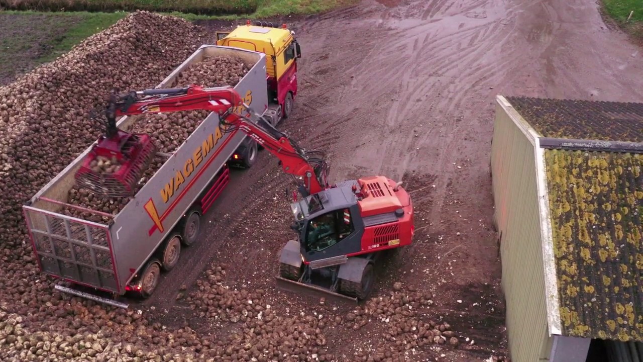 Suikerbieten laden  // Loading sugar beet // Atlas 160W // Wagemakers