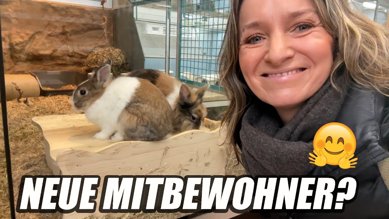 Zwei neue Mitbewohner für uns? 🐰 Sushi Tacos machen 🥰 XXL-Vlog 🌷 MARIELAND