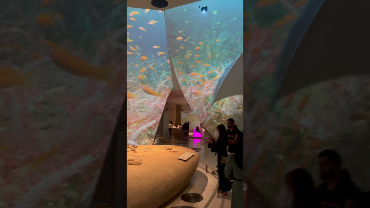 😳@ Qatar National Museum@ Doha Qatar