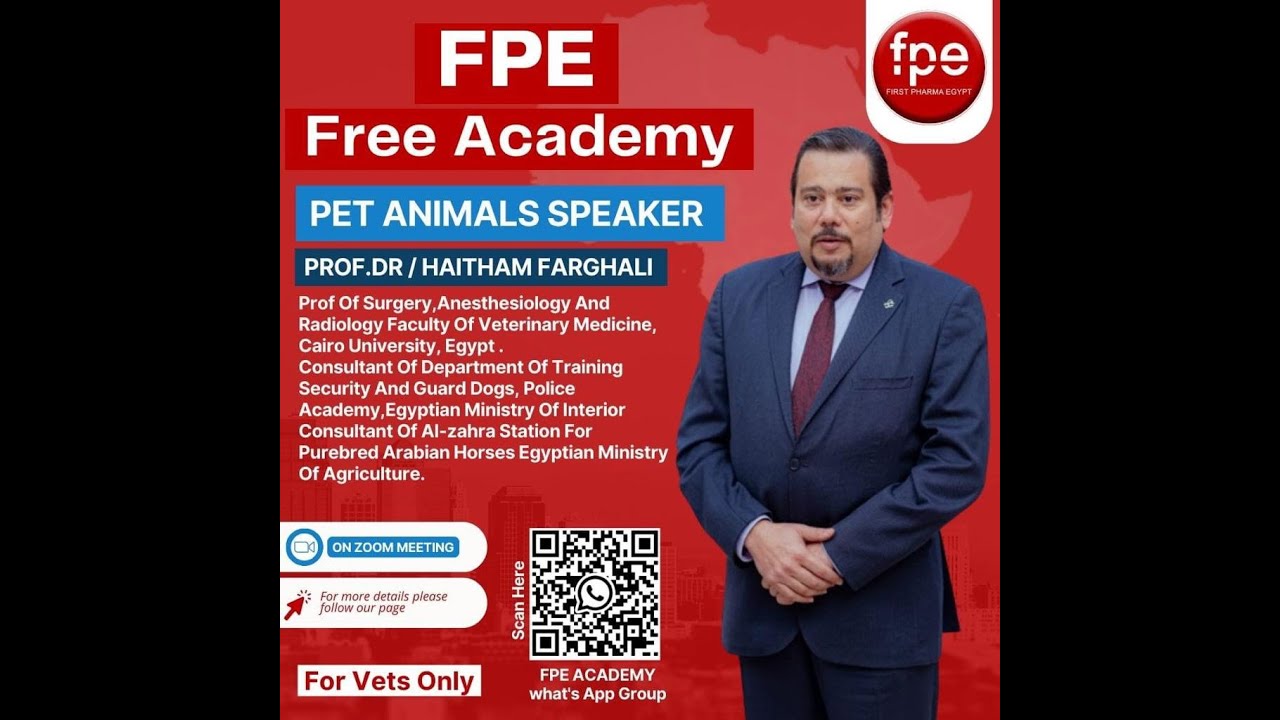 Principles of ultrasonography in Small animals, Prof.Dr / Haitham Farghali