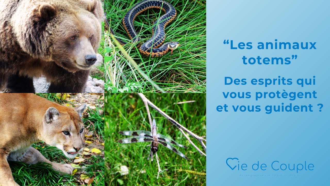 Animaux totems. Des esprits qui vous guident ?