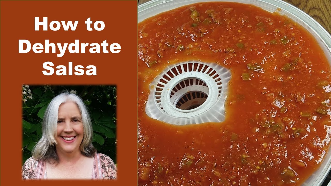 How to Dehydrate Picante Sauce for Long Term Food Storage | Dehydrate Salsa in a Food Dehydrator