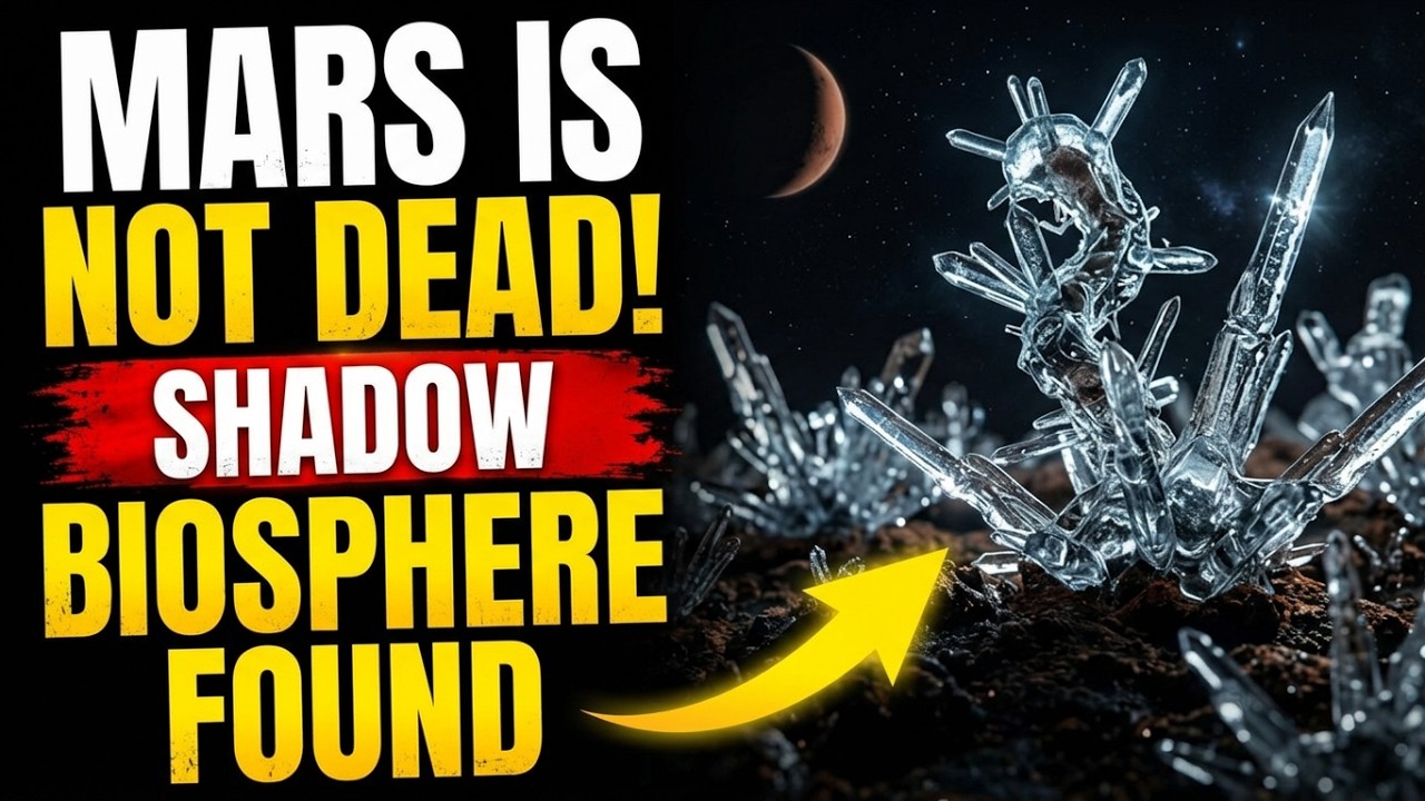 The Shadow Biosphere: NASA's Terrifying Mars Discovery