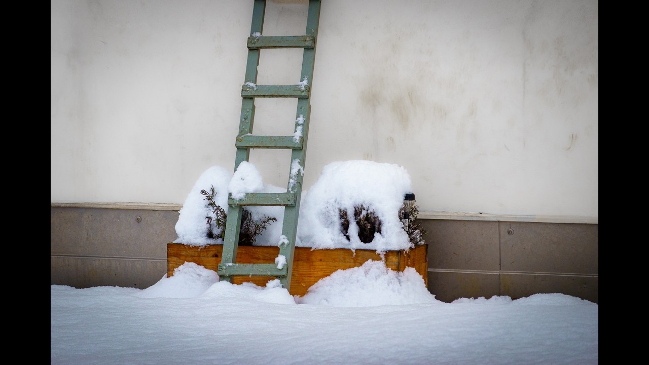 Good Morning Ulm - My Photos from January '26