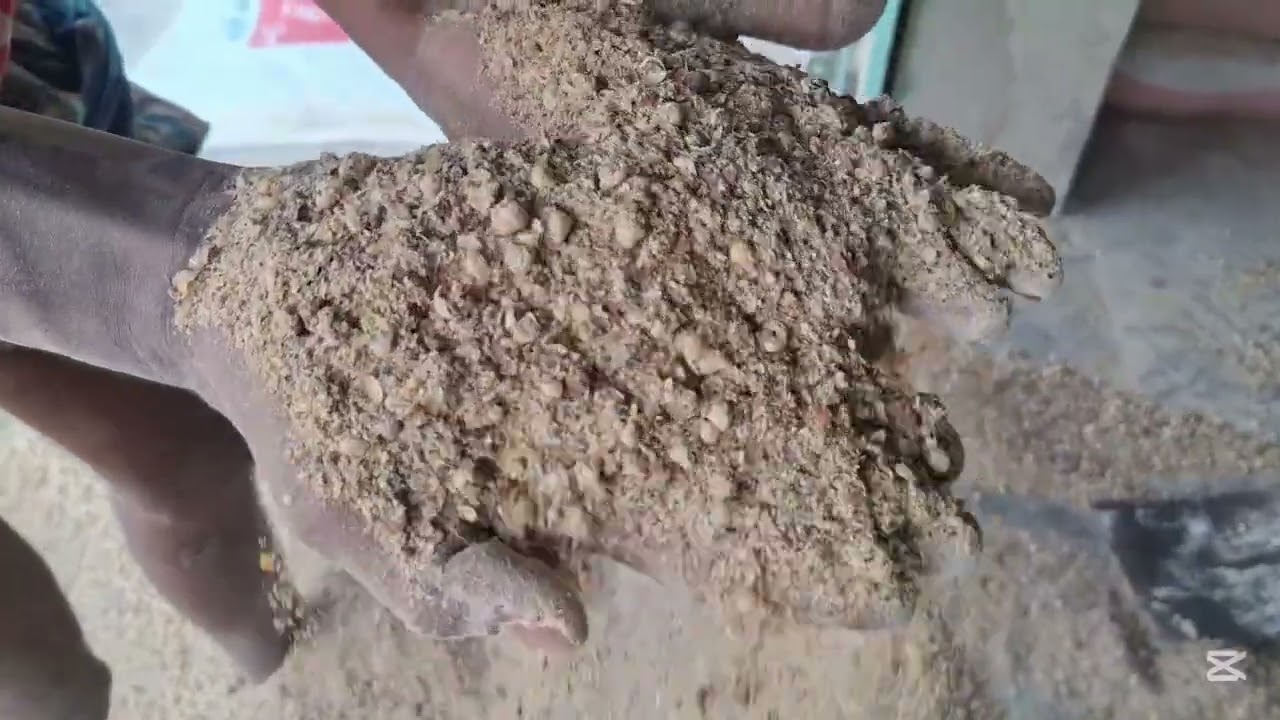 দেখুন কীভাবে তৈরি হয় সেরা মানের NGF মিক্স ভুষি! 🔥