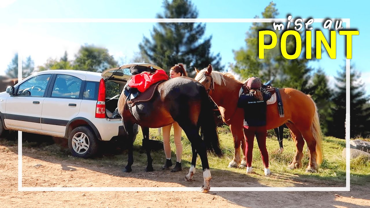 A CHEVAL APRÈS TROIS MOIS, AVANCEMENT DE LA CARRIÈRE, GESTATION DE LILI, ETC. 🥰