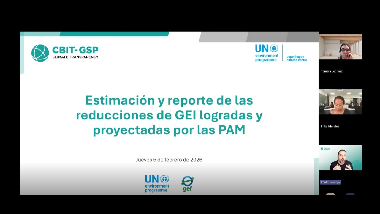 Estimación y reporte de las reducciones de GEI logradas y proyectadas por las PAM