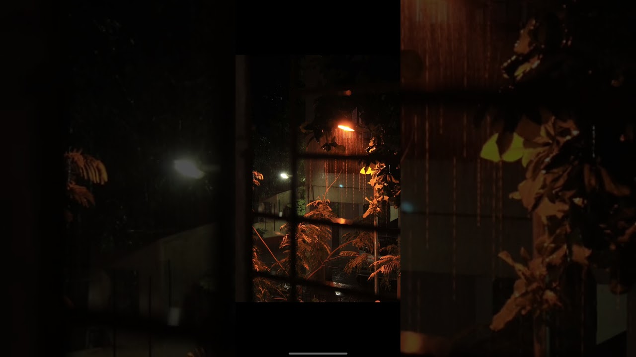 rain sounds, sleep rain, rain ambience, white noise, relaxing rain