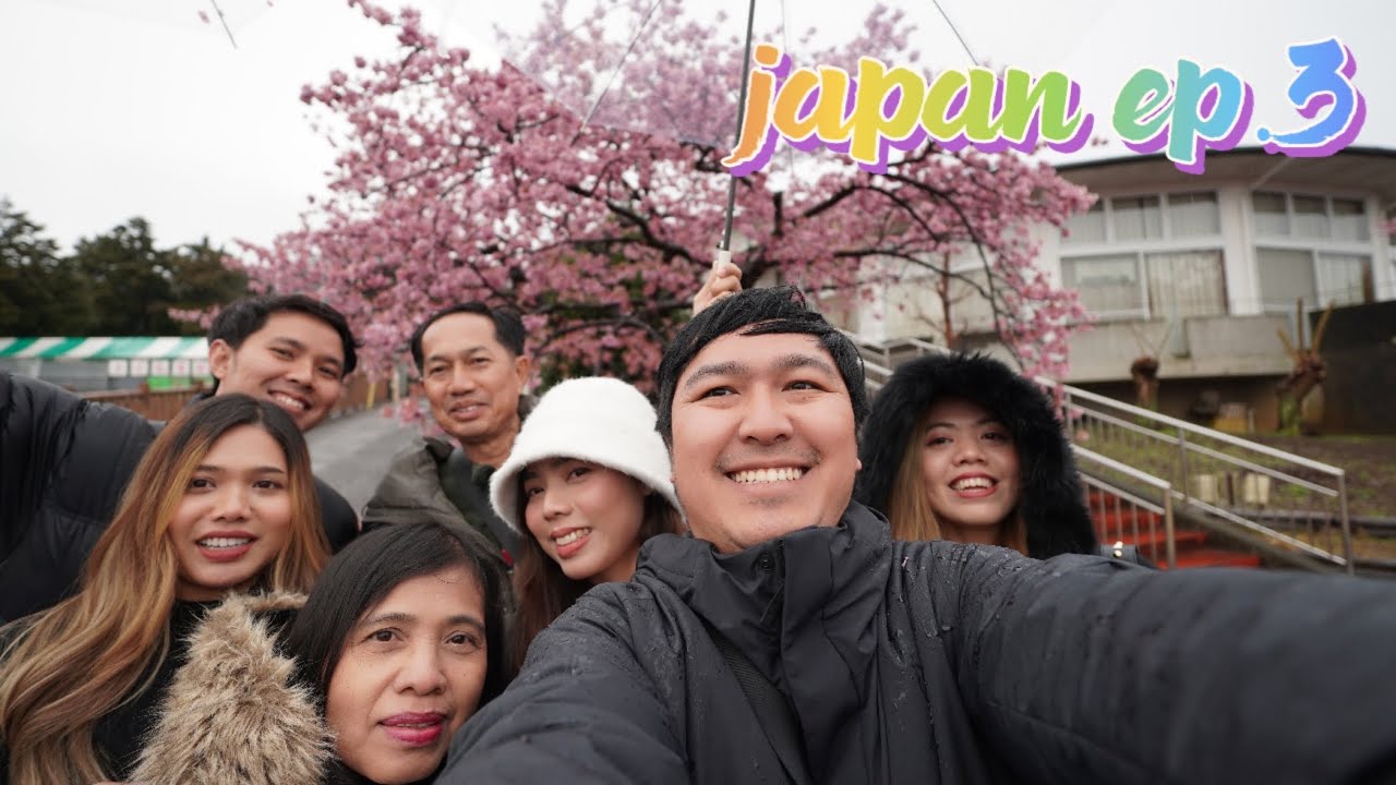 🇯🇵 EP. 163 Japan Cherry Blossoms Walking Path